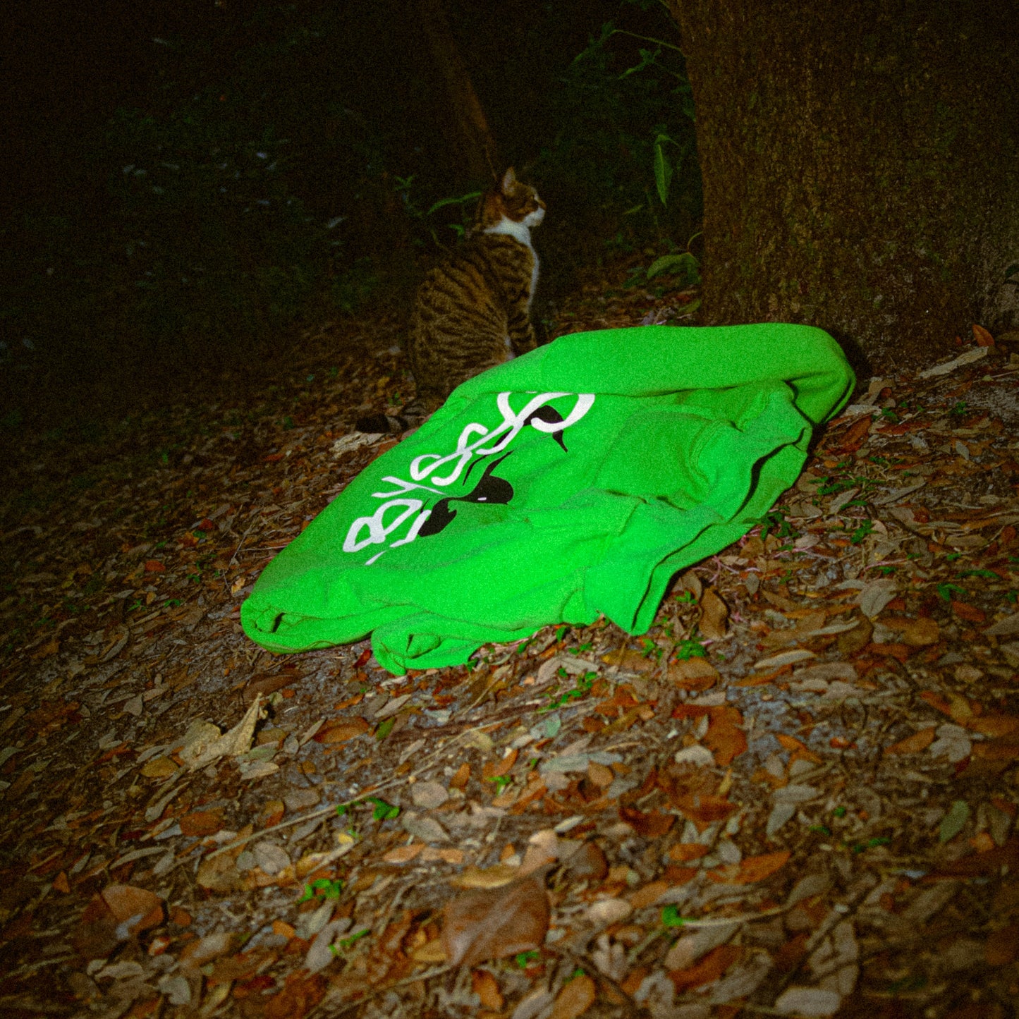 LOGO HOODIE